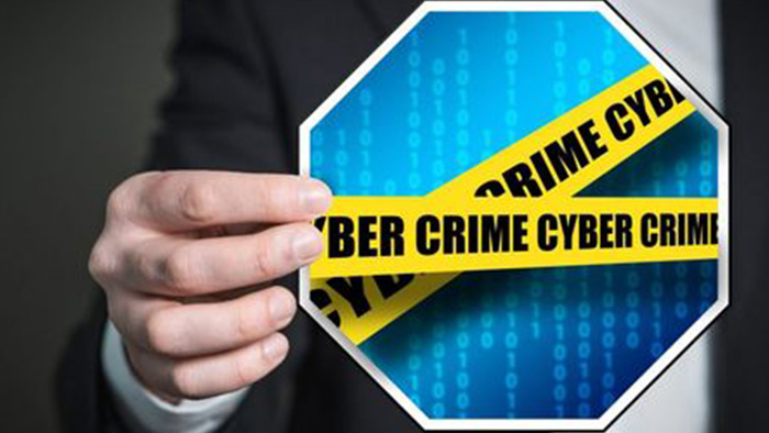 Cyber Fraud and the Growing Threat of Organized Retail Crime